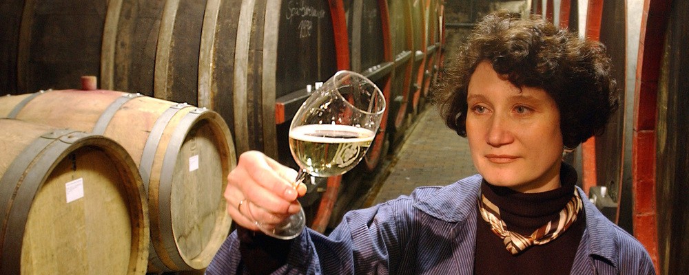 © Sächsische Winzergenossenschaft Meissen eG.