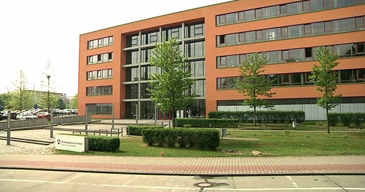 Riesa Tv